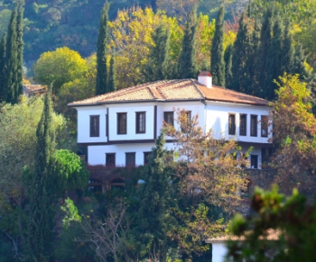 Vegan Hotels Vegetarian Vegan Travel Veganwelcome