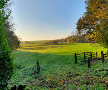 find vegan hotels vegetarian vegan travel veganwelcome
