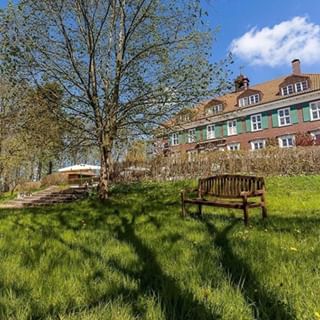 instagram @veganwelcome