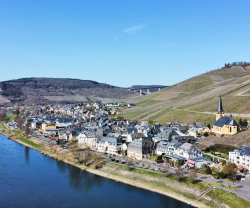 Vegan Hotel Restaurant Nicolay 1881, Rheinland-Pfalz, Zeltingen-Rachtig