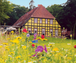 BIO-Hotel Kenners LandLust, Niedersachsen, Göhrde