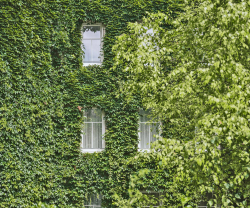 Boutiquehotel Stadthalle, Wien, Wien