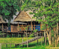 Muyuna  Amazon Lodge, Loreto, Iquitos